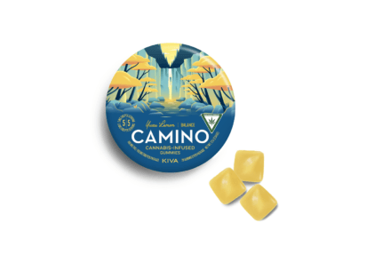 Yuzu Lemon 1:1 THC: CBD Gummies 100mg | Liv Dispensary packaging