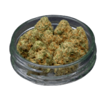 G13 Bulk Flower