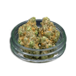 The Don Mega Bulk Flower