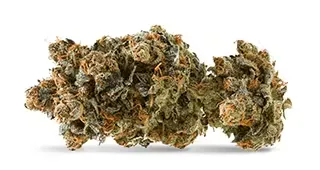 Liv DISPENSARY stock image of cannabis flower