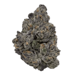 Runtz Flower by Peninsula Gardens