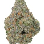 Sherb Pie Flower by Peninsula Gardens