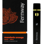 Mandarin Orange | Flavor Line | All-In-One | 1.0g 1000mg